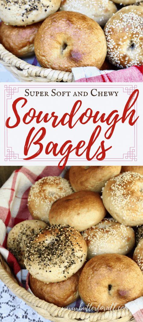 Discard Bagels, Fermented Recipes, Whole Wheat Bagel, Bagels Recipe, Sourdough Bagels, Bagel Toppings, Whole Wheat Sourdough, Sourdough Starter Discard Recipe, Traditional Cooking