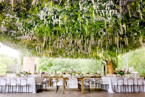 Chicago Botanic Garden | Glencoe, Illinois, United States - Venue Report Summer Wedding Venues, Flower Ceiling, Chicago Botanic Garden, Beautiful Outdoor Wedding, Botanical Gardens Wedding, Chicago Wedding Venues, Garden Wedding Venue, Wedding Tent, Beautiful Wedding Venues