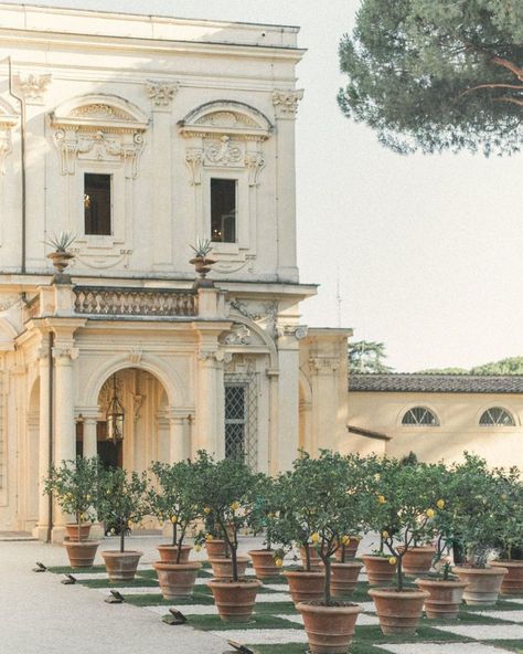 Picturesque Villa Aurelia in Rome, Italy Italian Villa Wedding, Italian Wedding Venues, Wedding In Italy, Villa Wedding, Italian Villa, Tying The Knot, Italian Wedding, Italy Wedding, The Knot