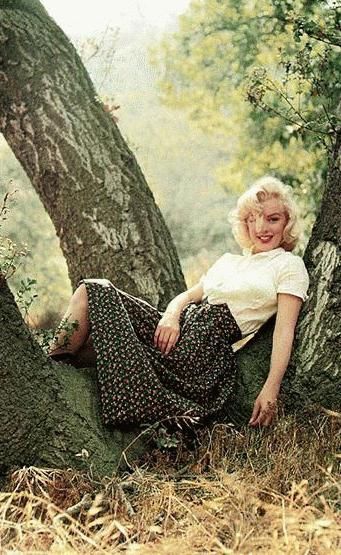 NB Photos Rares, Milton Greene, Jackie Gleason, Marilyn Monroe Fashion, Joe Dimaggio, Laurel Canyon, Lauren Bacall, Richard Avedon, Marilyn Monroe Photos