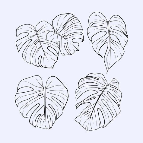 Free Vector | Tropical leaf and flower collection Monstera Leaf Outline, Monstera Plant Tattoo, Monstera Illustration, Printable Drawings, Leaf Outline, Outline Illustration, Plant Tattoo, Flower Collection, Leaf Drawing