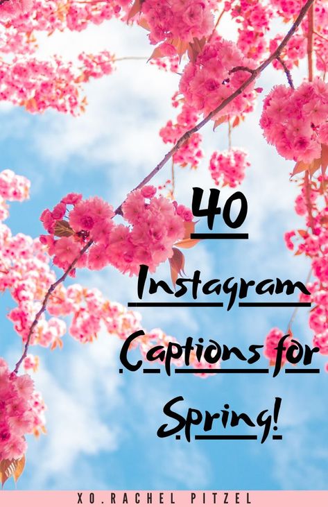 I have a list of 40 amazing Instagram captions to help make your photos blossom!  P.S. If you’re going on a Spring Break vacay, I have 70 captions for that too right here. And we can’t forget Easter Instagram captions either…  Happy spring everyone! Easter Instagram Captions, Spring Break Captions, Spring Break Quotes, Power Of Love Quotes, Sunshine And Flowers, April Quotes, Summer Captions, Spring Words, The Language Of Flowers