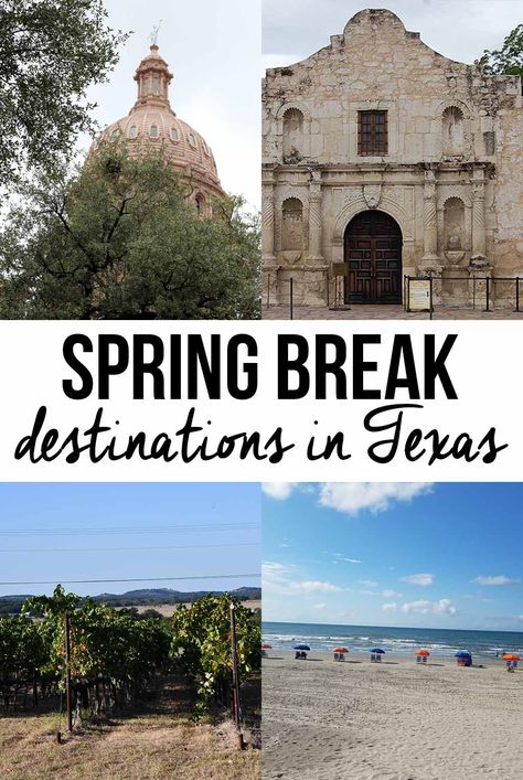 Best Spring Break Destinations In The Us, Spring Break Ideas College, Spring Break Texas, Spring Break Outfits Beach, Spring Break Quotes, Best Spring Break Destinations, Spring Travel Destinations, Spring Break Pictures, Spring Break Cruise