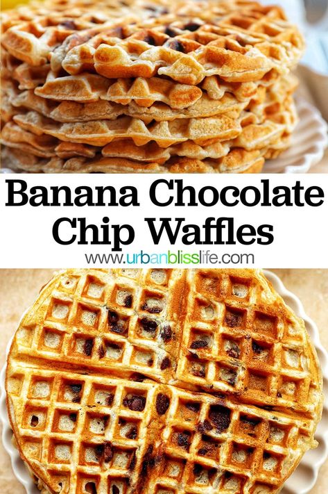 Banana Chocolate Waffles, Waffle Recipe Chocolate Chip, Banana Chocolate Chip Waffles, Banana Waffles Recipe, Banana Waffles 3 Ingredient, Banana Breakfast Ideas, Banana Waffles Healthy, Griddle Scones, Chocolate Chip Waffle Recipe