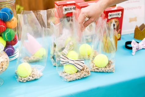 Fill up goodie bags with dog treats, tennis balls + dog accessories to give out at your puppy party. #partner Dog Birthday Party Ideas, Dog First Birthday, Puppy Obedience Training, Puppy Birthday Parties, Positive Dog Training, Easiest Dogs To Train, Basic Dog Training, Dog Training Advice, Dog Training Videos