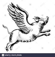 Flying pig. Ink black and white drawing Stock Photo - Alamy Flying Pig Sketch, Flying Pig Drawing, Flying Pig Logo, Flying Pig Tattoo, Flying Pigs Art, Pig Wings, Pig Sketch, Wings Artwork, Pig Logo