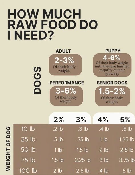 14 Home Made 80/10/10 Raw Dog Food Recipes 7 Dog Food Amount Chart, Diy Raw Dog Food Recipes, Raw Dog Food Recipes For Large Dogs, Home Made Puppy Food, Homemade Raw Dog Food Recipes, Farmers Dog Food Recipe Diy, Dog Raw Food Diet For Beginners, Raw Dog Food Recipes For Beginners, Diy Farmers Dog Food