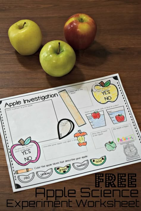 FREE Apple Science Experiment Worksheet - free science printables in this easy science experiments for preschool, prek, kindergarten, and first grade kids. This is perfect for back to school, fall, and September! #preschool #scienceisfun #apples Preschool Apple Experiments, Science With Apples, September Science Experiments, Apple Science Experiments Kindergarten, Apple Units For Kindergarten, Apple Investigation First Grade, Science Apple Activities Preschool, Fall Science For Kindergarten, Apples Activity Preschool