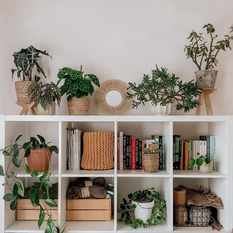 Cube Storage As Bookshelf, Cube Shelf With Plants, How To Style Ikea Cube Shelf, Decorating A Cube Shelf, Styling Cube Shelves Living Room, Aesthetic Cube Shelf Decor, Kallax Storage Cubes, Styling Cube Storage, Cube Storage With Plants