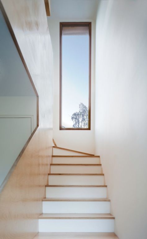 Tinshed / Raffaello Rosselli Staircase Window, Stairs Window, Tin Shed, Eco Architecture, Long Windows, Shed Homes, Interior Stairs, Design Exterior, House Stairs