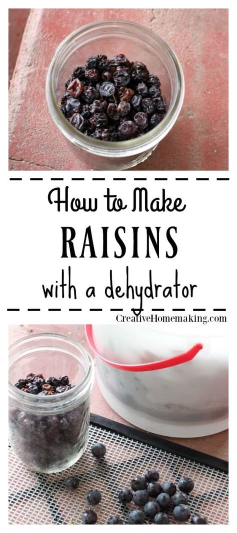 How To Make Raisins From Grapes, Food Dehydrator Recipes, Quick Pork Chop Recipes, Homemade Grape Juice, Fermenting Recipes, How To Make Raisins, Healthy Pork Chop Recipes, Dehydrating Food Storage, Food Dehydration