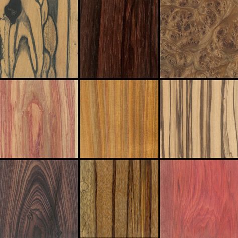 The Wood Database — browse all the beautiful colors and patterns of wood from around the world. Easy Woodworking Ideas, Glamour Home, The Periodic Table, Small Room Decor, Got Wood, Different Types Of Wood, Break Out, Stain Colors, Wood Texture