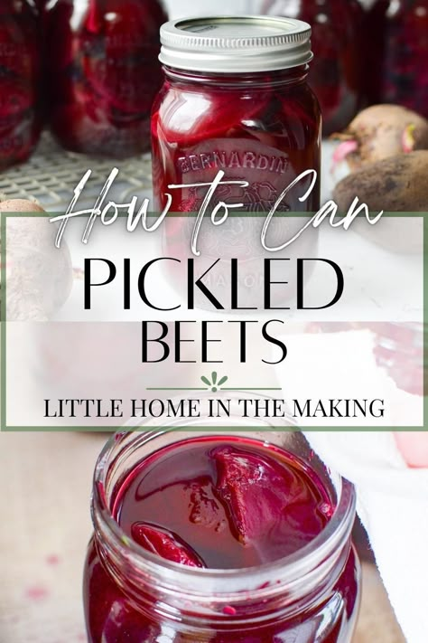 Refrigerator Beets, Canning Pickled Beets, Refrigerator Pickled Beets, Tomato Canning, Canned Pickled Beets, Canning Beets, Cucumber Relish, Pickled Beets Recipe, Water Bath Canning Recipes