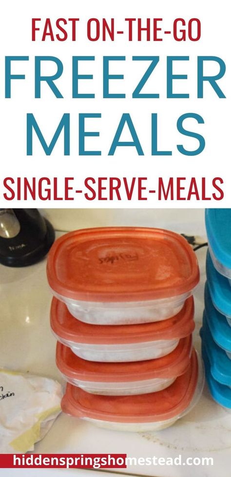 One Serving Freezer Meals, Portioned Freezer Meals, Small Freezer Meals For 2, Individual Serving Freezer Meals, Easy Single Serve Freezer Meals, Frozen Individual Meals, Single Freezer Meals Cooking For One, Pre Cooked Freezer Meals For One, Individual Portion Freezer Meals