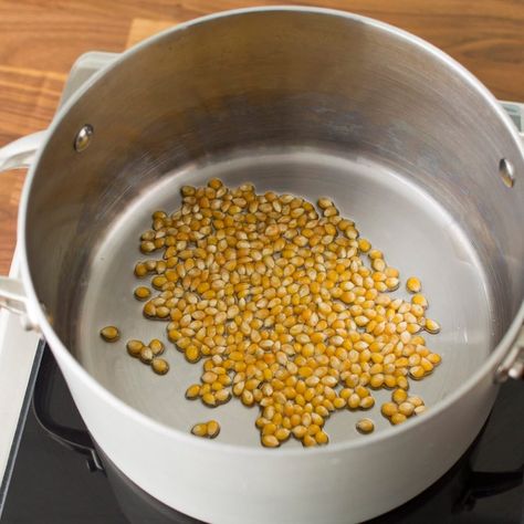 Popcorn In A Pot Stove, Popcorn From Kernels, Popcorn On Stovetop How To Make, Popcorn Stovetop How To Make, Popcorn Recipes Stovetop, Popcorn On Stovetop, Homemade Popcorn Stovetop, Popcorn In A Pot, Popcorn Stovetop