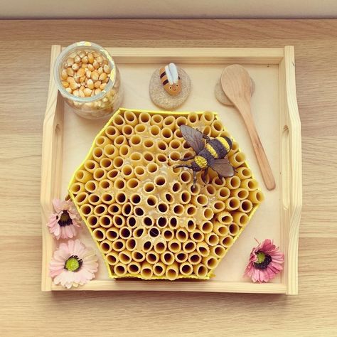 🐝 DIY Projects All about Bees 🐝 Transferring Activity 🍃————————————— 🐝 (26 Months Old) —————————————— 🌿 #montessori #mylittlemontessorian #mariamontessori #montessoriathome #montessoriwork #montessorikids #montessorichild #montessoriactivity #montessoribaby #montessoritoddler #fortheloveofmontessori #childdevelopment #allthingsmontessori #montessoriplay #directress #montessorishelves #learning #teaching #educational #followthechild 🇴🇲 #oman #muscat 🌿 🐝————————————— #practicallife #whywe All About Bees, Bee Activities, Diy Fimo, Montessori Diy, Montessori Practical Life, Montessori Toddler Activities, Nature School, Toddler Sensory, Maria Montessori