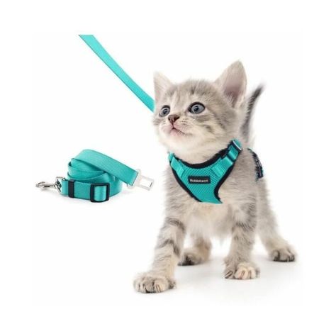 Puppy Walking, Cat Lead, Cat Puzzle, Cat Backpack, Cat Harness, Pet Leash, Pet Harness, Blue Dream, Cat Walk