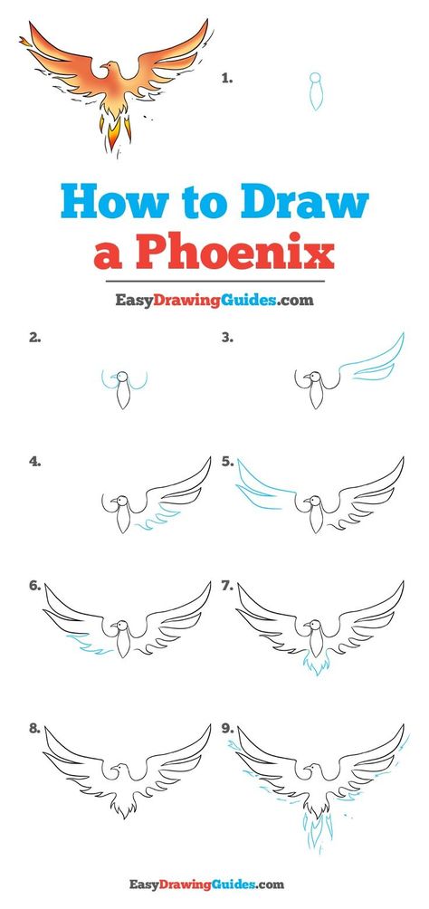 Learn How to Draw a Phoenix: Easy Step-by-Step Drawing Tutorial for Kids and Beginners. #Phoenix #drawingtutorial #easydrawing See the full tutorial at https://easydrawingguides.com/how-to-draw-a-phoenix/. Phoenix Drawing Sketches Art, Step By Step Tattoo Drawings, Phoenix Painting Easy, Phoenix Illustration, Phoenix Drawing, Easy Drawing Guides, Inkscape Tutorials, Drawing Guides, How To Draw Steps