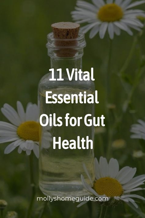 Discover the potent benefits of essential oils for gut health with Peppermint, Clove, Fennel, Lavender, Oregano, and Ginger. These powerful oils are known for aiding digestion and alleviating symptoms like gas and bloating. Whether you're looking to soothe IBS or other digestive issues, essential oils offer natural support for optimal gut health. Improve your well-being by incorporating these best essential oils into your daily routine and feel the difference they make in enhancing your digestiv Oil Image, Cardamom Essential Oil, Fennel Essential Oil, Turmeric Essential Oil, Oregano Essential Oil, Oils For Health, Benefits Of Essential Oils, Clary Sage Essential Oil, Ginger Essential Oil