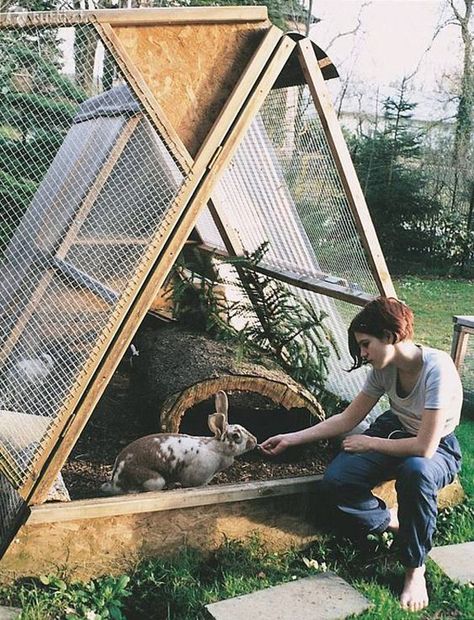 Outdoor Rabbit Enclosure, Rabbit Cages Outdoor, Outdoor Rabbit, Outdoor Rabbit Hutch, Rabbit Enclosure, Rabbit Habitat, Rabbit Farm, Bunny Hutch, Raising Rabbits