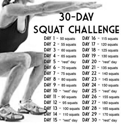 28 day squat challenge 28 Day Squat Challenge, 30 Day Squat Challenge, Squat Challenge, Fitness Ideas, Challenge Accepted, Healthy Fitness, I Work Out, Health Motivation, College Life