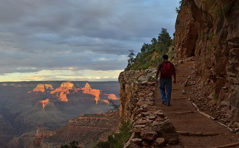 One Of The Top 20 Most Dangerous Hikes In The World Is Right Here In Arizona Bright Angel Trail, Grand Canyon South Rim, Arizona Hiking, Scenic Road Trip, Hiking National Parks, Parc D'attraction, La Rive, The Grand Canyon, Grand Canyon National Park