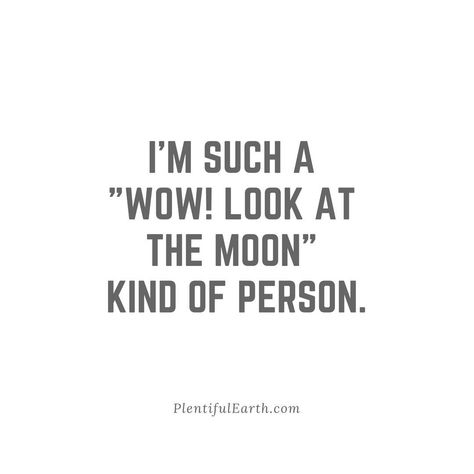 RT @Plentiful_Earth: But really...Look at the moon!!  😍🌕😍 Full Moon Quotes, Moon And Star Quotes, Space Quotes, Earth Quotes, Moon Quotes, Star Quotes, Look At The Moon, Kindness Quotes, Amazing Quotes