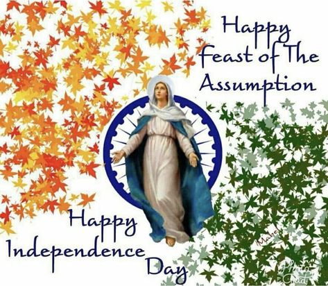 Our Lady Of Assumption Images, Happy Feast Of Assumption Of Mother Mary, Assumption Of The Blessed Virgin Mary, Assumption Of Mother Mary, Happy Feast Day, Good Times Quotes, Independence Day Theme, Happy Feast, Independence Day Quotes