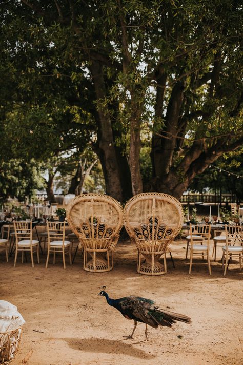 Getting Ready Together, Magic Wedding, Lisbon Wedding, Botanical Garden Wedding, Botanical Gardens Wedding, Wedding Altars, Wedding Team, Gorgeous View, Junebug Weddings