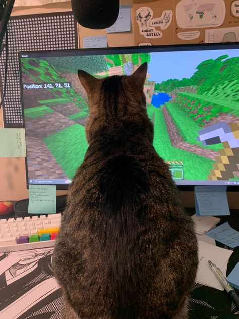 Cat Playing Video Games, Pop Up Cinema, Car Cat, Video Game Tattoo, Cat Watch, Visual Board, Gaming Station, Gaming Tattoo, Kitty Games