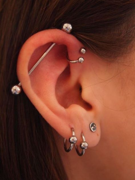 Single, double and triple forward helix piercing information guide on pain, price, healing and aftercare with examples of Forward Helix Piercing jewellery. - http://www.piercingmodels.com/forward-helix-piercing/ Ušný Piercing, Triple Forward Helix Piercing, Ear Peircings, Helix Piercings, Forward Helix Piercing, Septum Piercings, Cool Ear Piercings, Pretty Ear Piercings, Piercing Cartilage