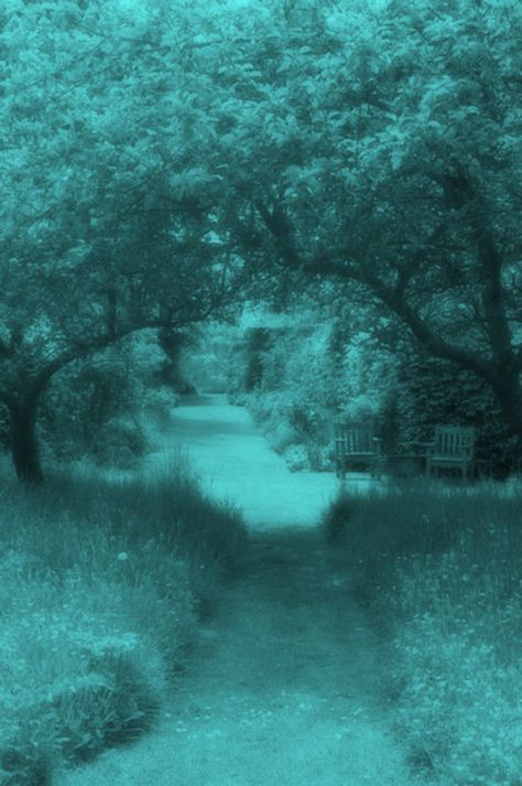 Twilightcore Wallpaper, Green Draincore, Foggy Garden, Draincore Aesthetic, Forks Twilight, Twilight Core, Turquoise Aesthetic, Poison Tree, Dark Y2k