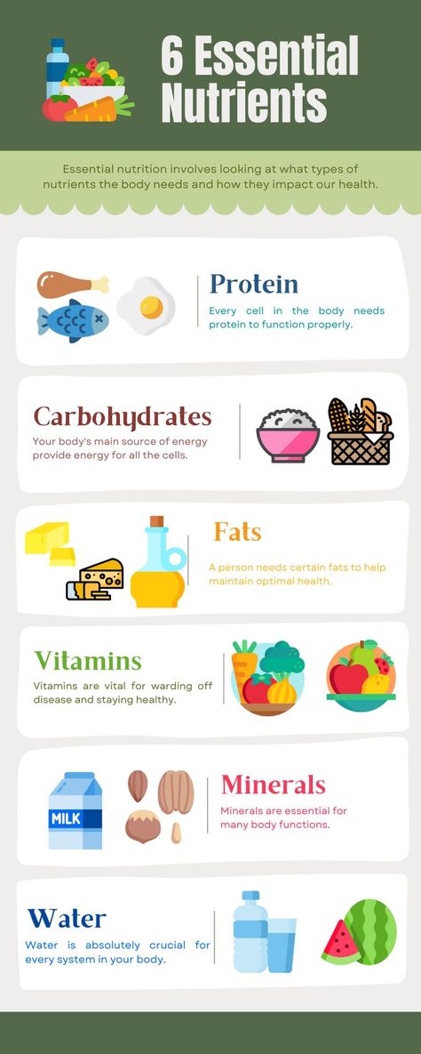 6 Essential Nutrients, Stomach Fat Burning Foods, Healthy Nutrition Plan, Nutrition Chart, Sustainable Seafood, Best Fat Burning Foods, Essential Nutrients, Nutrition Plans, Healthy Nutrition