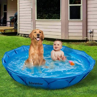 Use it as a swimming pool and bathtub for babies, your little one will enjoy the happy hours! They can play bubbles in it. | ZWISSLIV 1 ft x 5.25 ft Plastic Inflatable Pool Plastic in Blue, Size 12.0 H x 63.0 W in | Wayfair Dog Bathtub, Best Swimming Pools, Mini Swimming Pool, Children Swimming Pool, Outdoor Ponds, Dog Pool, Pool Bath, Swim Pool, Kiddie Pool