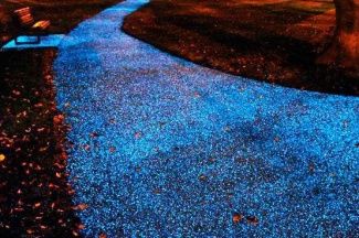 Glow in the dark spray for outdoor use by starpath Garden Park, The Dark Crystal, Fish Tank Decorations, Aquarium Fish Tank, Garden Stones, Landscape Lighting, Street Light, Aquarium Fish, Solar Energy