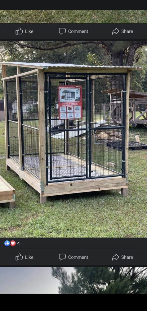 Raised Dog Kennel Ideas Outdoor, Raised Dog Kennel Outdoor, Outdoor Kennel Ideas, Outdoor Dog Kennel Designs, Outside Dog Kennel Ideas, Hunting Dog Kennel, Garage Dog Kennel Ideas, Cheap Outdoor Dog Kennels, Dog Kennel Building