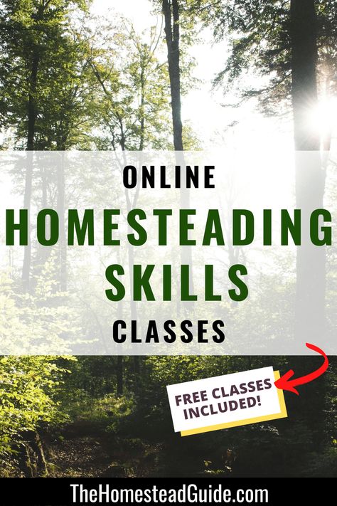 14 online homesteading classes for every budget. Free classes included. The homestead guide dot com. Homestead Skills To Learn, Homesteading Skills To Learn, Fermenting Foods, Free Classes, List Of Skills, Homesteading Skills, Hobby Farm, Urban Homesteading, Living Off The Land