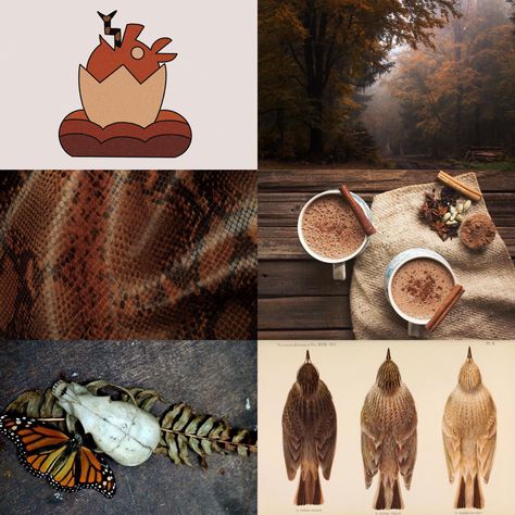 The Owl House Beast Keeping Coven Aesthetic Mood Board The Owl House Beast Keeping Coven, Beast Keeping Coven, Toh Covens, The Owl House Covens, Owl House Coven, Fall Owl, House Shifting, Owl Family, The Study