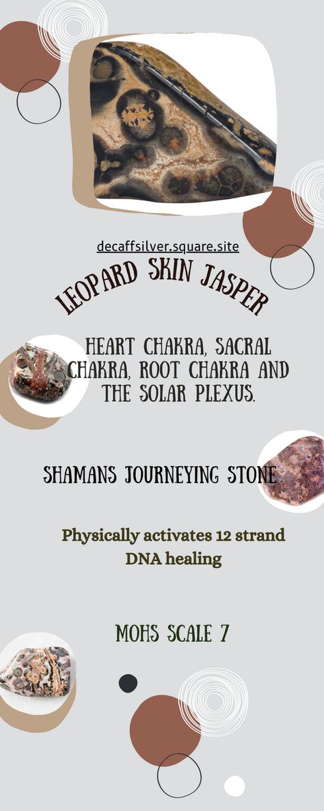 Leopard Skin Jasper Crystal Meaning, Leopard Skin Jasper Meaning, Shamanic Journeying, Crystal Benefits, Jasper Meaning, Leopard Jasper, Chakras Healing, Human And Animal, Leopard Skin Jasper