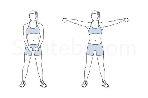 Dumbbell lateral raise exercise guide with instructions, demonstration, calories burned and muscles worked. Learn proper form, discover all health benefits and choose a workout. Spotebi Workout, Dumbbell Lateral Raise, Circuit Exercises, Push Pull Workout, Tuesday Workout, Push Workout, Back Fat Workout, Calories Burned, Lateral Raises