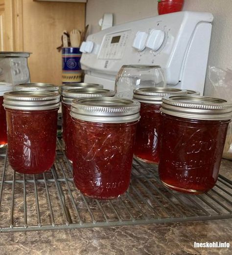 Amish Rhubarb Jam | InesKohl Kitchen Strawberry Fig Preserves, Prickly Pear Jelly, Muscadine Jelly, Ineskohl Kitchen, Fig Preserves Recipe, Fruit Jelly Recipe, Concord Grape Jelly, Crockpot Foods, Glaze For Cake