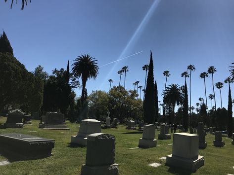 2018. Hollywood Forever Cemetery. Hollywood Forever Cemetery, Masonic Lodge, Event Program, Famous Landmarks, Cultural Events, Event Center, Classic Films, Event Calendar, Event Rental