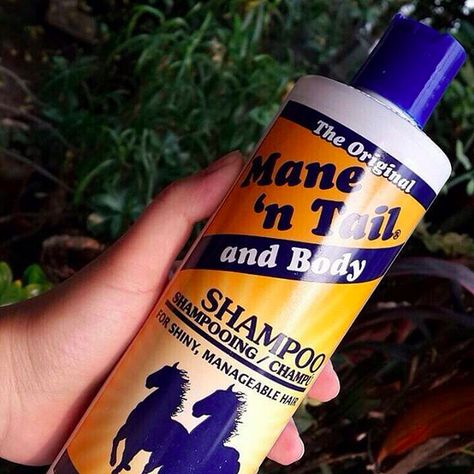 Mane ‘n Tail Shampoo | 27 Underrated Hair Products That Actually Work Smell Hair, Horse Shampoo, Mane And Tail Shampoo, Best Hair Care Products, Tail Hair, Mane N Tail, Hair Affair, Hair Flip, Natural Hair Tips