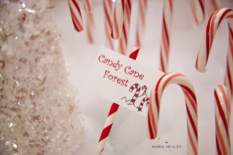 The Elf Movie, Elf Themed Christmas Party, Candy Cane Forest, Elf Party, North Pole Party, Cane Decor, North Pole Breakfast, Winter Party Themes, Santa Party