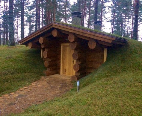 Eco Tiny House, Scandinavian Cabin, Small Log Cabin, Farm Plans, Root Cellar, Earth Sheltered, Farm Layout, A Frame House Plans, Underground Homes