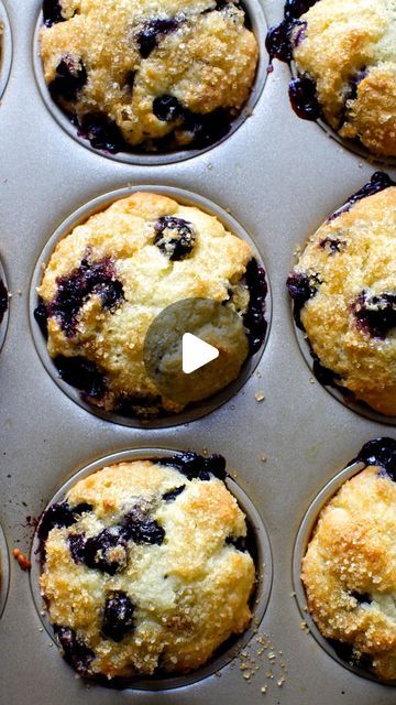 smitten kitchen on Instagram: "PERFECT BLUEBERRY MUFFINS on smittenkitchen.com: domed and crisp, one-bowl, and almost equal parts blueberries and muffins. 🫐" Perfect Blueberry Muffins, Smitten Kitchen, Blueberry Muffins, Blue Berry Muffins, Blueberries, Muffins, Bread, Bowl, On Instagram