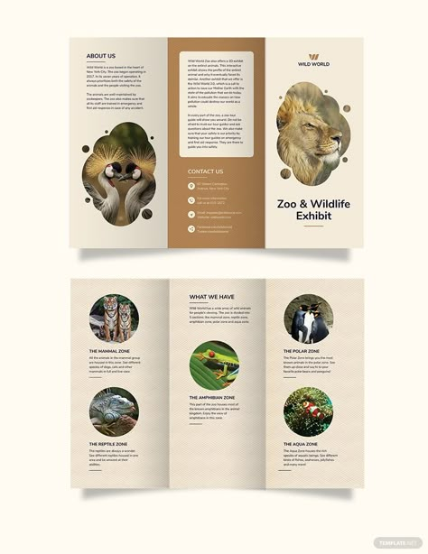 Zoo Pamphlet, Animal Brochure, Zoo Brochure, Brochure Examples, Yearbook Layouts, Brochure Design Creative, Yearbook Pages, Brochure Design Layout, Corporate Brochure Design