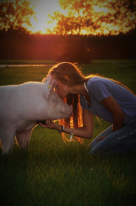 Sure Champ Senior Photos: Show Pig #animalphotography #animal #photography #life Senior Pictures Couples, Livestock Pictures, Farm Senior Pictures, Pig Pics, Pig Showing, Senior Year Pictures, Cute Senior Pictures, Pig Stuff, Pictures Couples