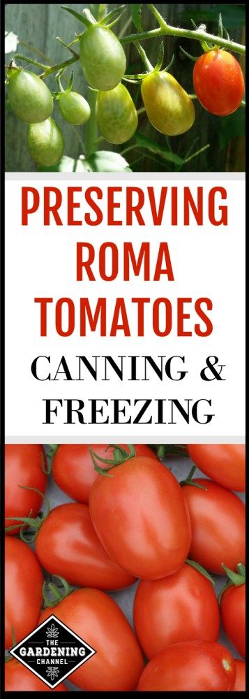 Roma Tomato Recipes, Canning Plums, Freezing Vegetables, Canning Food Preservation, Tomato Seedlings, Fall Vegetables, Sweet Fruit, Canning Tomatoes, Garden Veggies