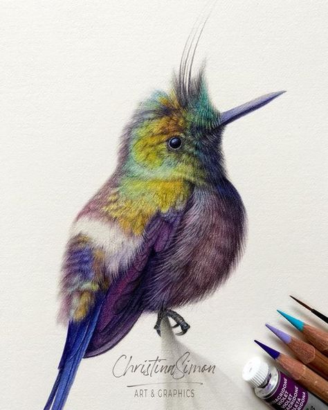 𝘾𝙝𝙧𝙞𝙨𝙩𝙞𝙣𝙖 𝙎𝙞𝙢𝙤𝙣 - 𝘼𝙧𝙩 on Instagram: "Wire-crested Thorntail hummingbird. I love this little guy! Available. Contact me for details. Image 1: detail. Image 2: non cropped image. Watercolours and coloured pencils on 100% cotton watercolour paper. • Paper: Fabriano Artistico HP 640gsm natural white. Watercolours: Winsor & Newton and Daniel Smith. Pencils: Caran d’Ache Luminance - Derwent Lightfast and Drawing (Chinese White) - Faber-Castell Polychromos and graphite. • • • #watercolourpainting #cp_art #birdart #hummingbirdart #wildlifeart #winsorandnewtonwatercolors #onfabrianopaper #carandacheluminance" Derwent Lightfast, Colored Pencil Art Projects, Color Pencil Sketch, Watercolor Beginner, Colored Pencil Drawing, Coloured Pencils, Color Pencil Art, Color Pencil Drawing, Bird Drawings